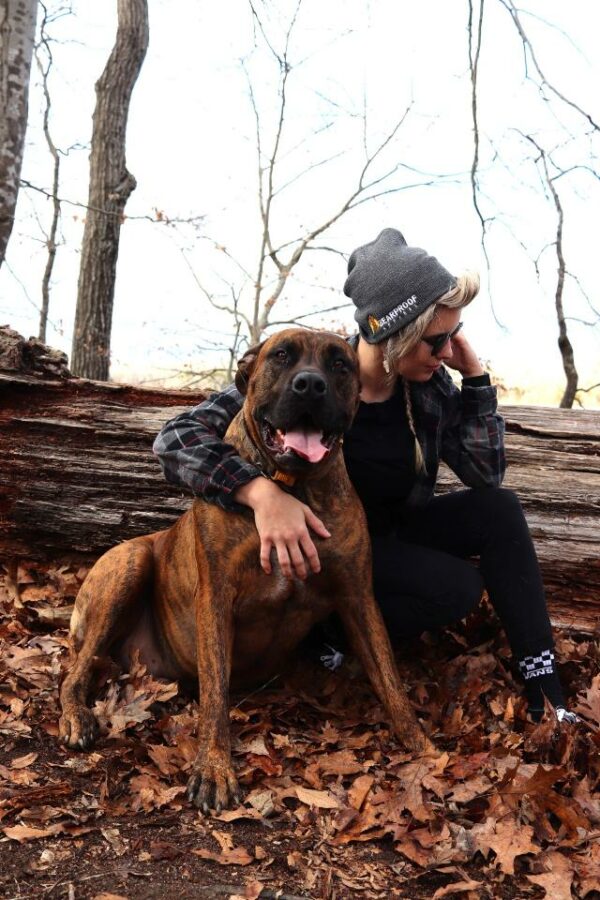 BearProof Beanie - Image 4